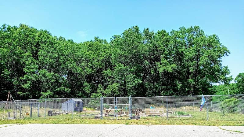 Belding Community Garden - Image 1