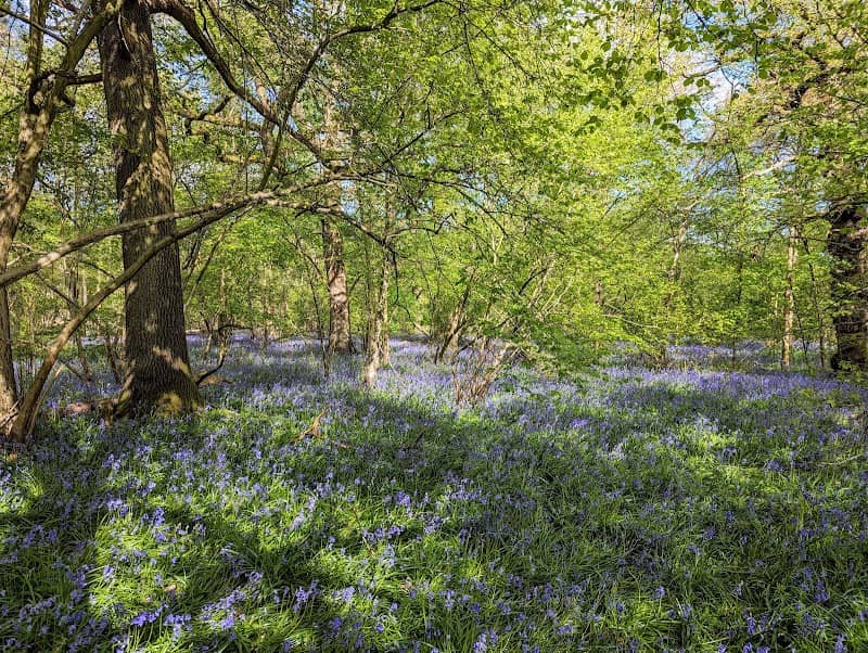 Peacock Meadows - Image 1