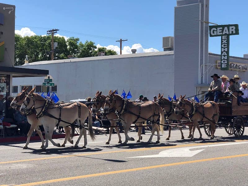 Mule Days Parade - Image 3