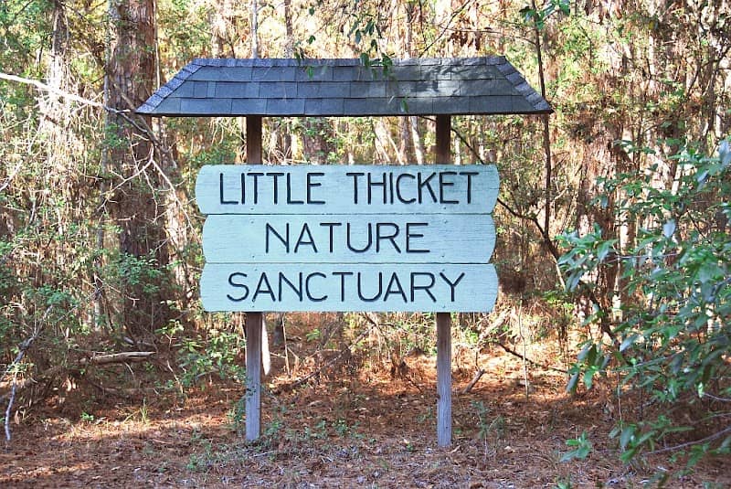 Little Thicket Nature Sanctuary (LTNS) - Image 1