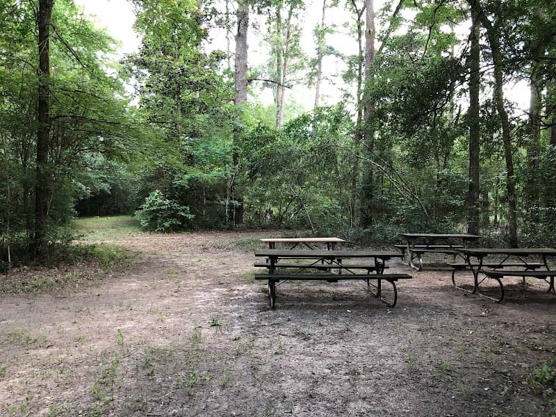 Little Thicket Nature Sanctuary (LTNS) - Image 2