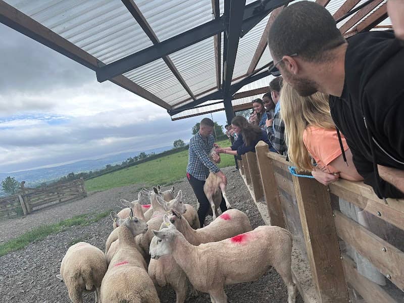 Glenshane Country Farm - Image 1