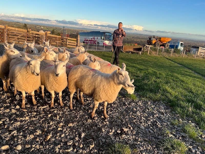 Glenshane Country Farm - Image 2