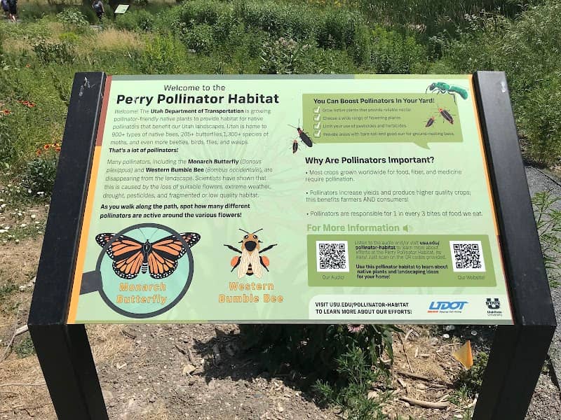 Perry Pollinator Habitat - Image 2