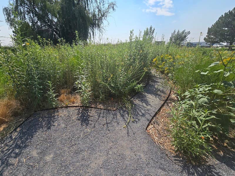 Perry Pollinator Habitat - Image 1