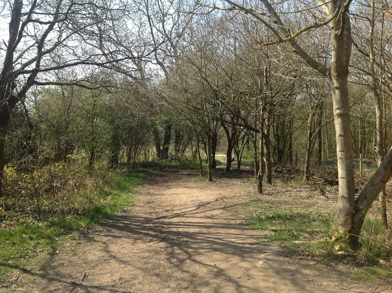 Wimpey Field - Image 1