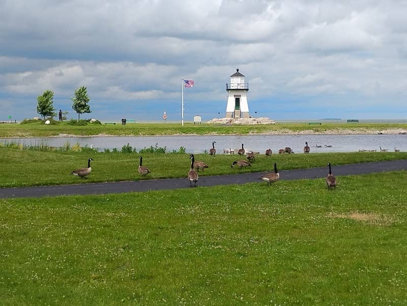 Walleye festival - Image 1