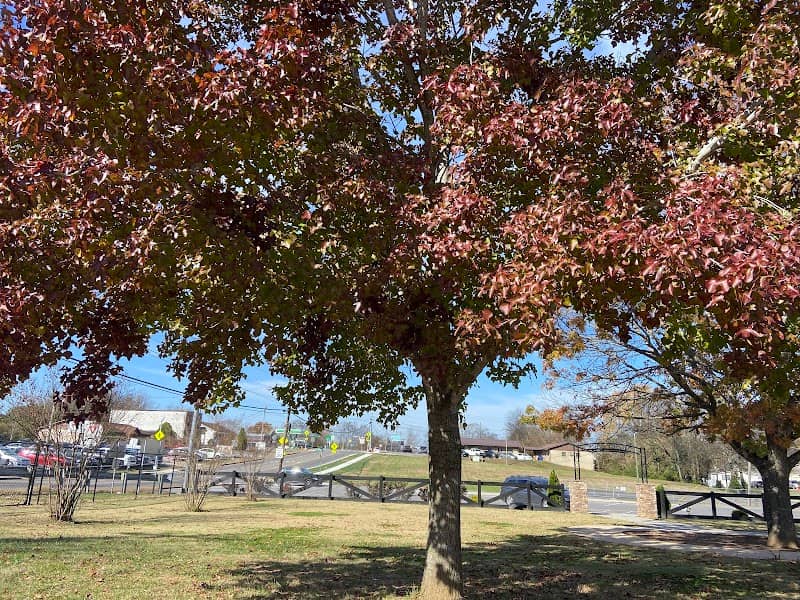 Mosby Park - Image 1