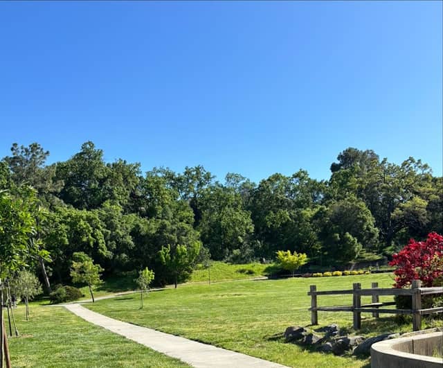 Hamilton Amphitheatre Park - Image 1