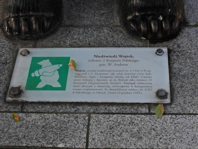 Monument The Bear Wojtek - Image 2
