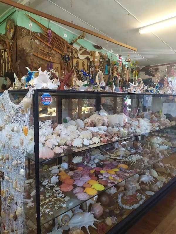 Port Stephens Shell Museum - Image 1