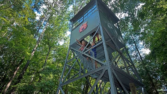 Clemmons Educational State Forest - Image 2