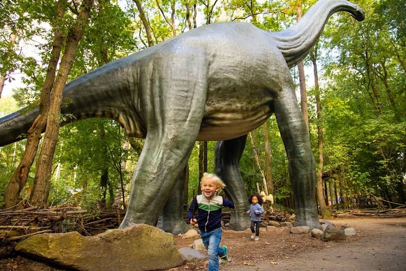 Dinobos | DierenPark Amersfoort - Image 1