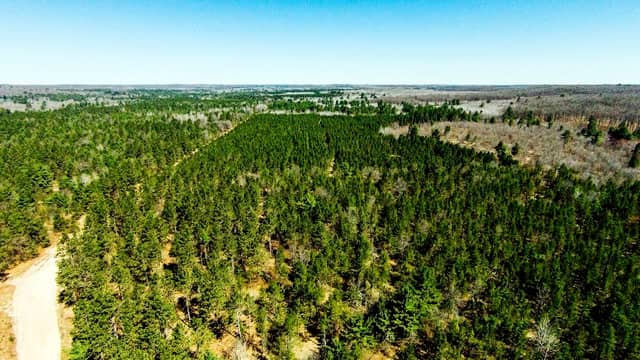 South Fork Barrens State Natural Area - Image 2