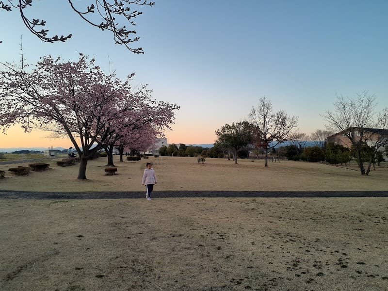Maigikomagata Park - Image 1