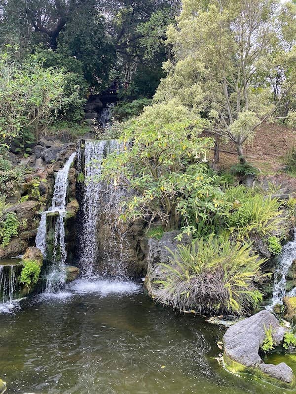Meyberg Waterfall - Image 4