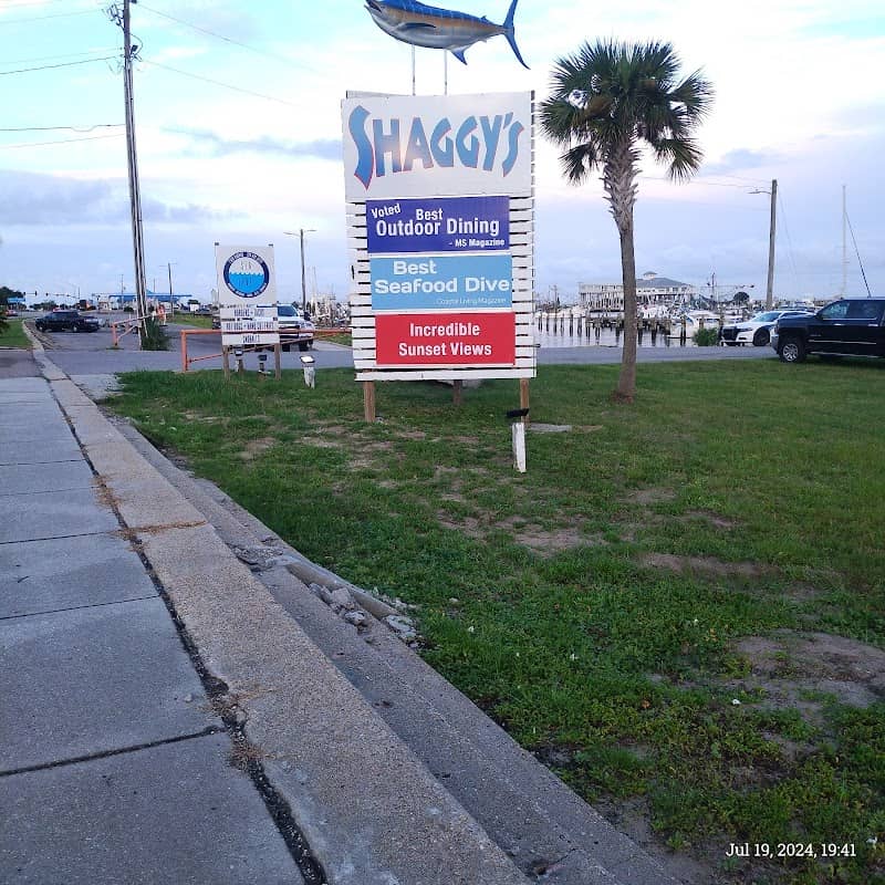 Gulfport Pteranodons - Image 2