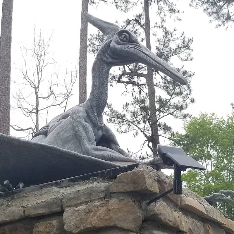 Gulfport Pteranodons - Image 1
