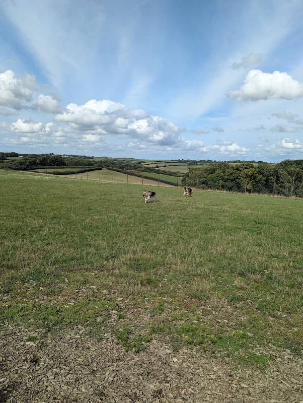 Runmoor Dog Park - Image 1