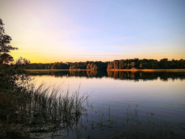 New Quarter Park - Image 1