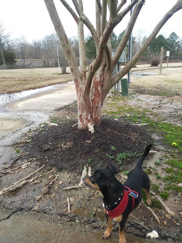 Magnolia Community Park - Image 2