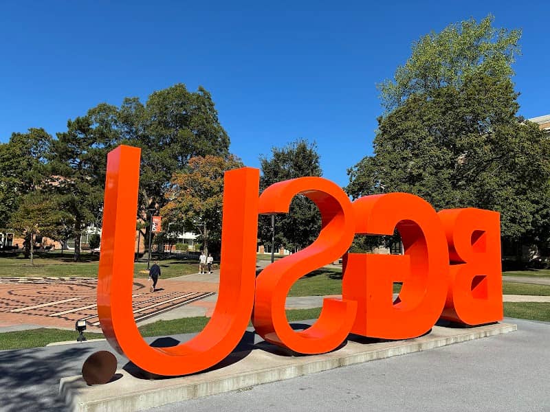 BGSU Letters - Image 2