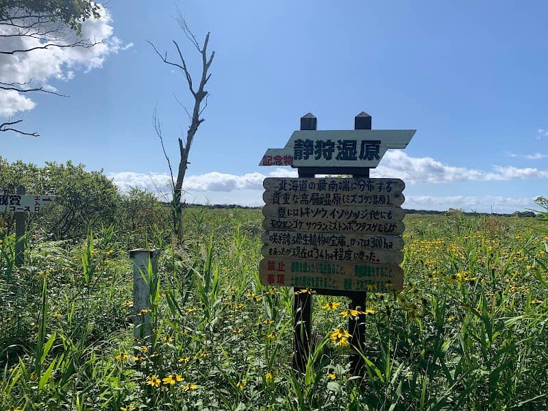 Shizukari shitsugen marsh - Image 1