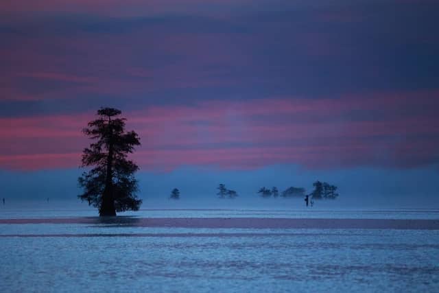 Mystique Tours on Caddo Lake - Image 2