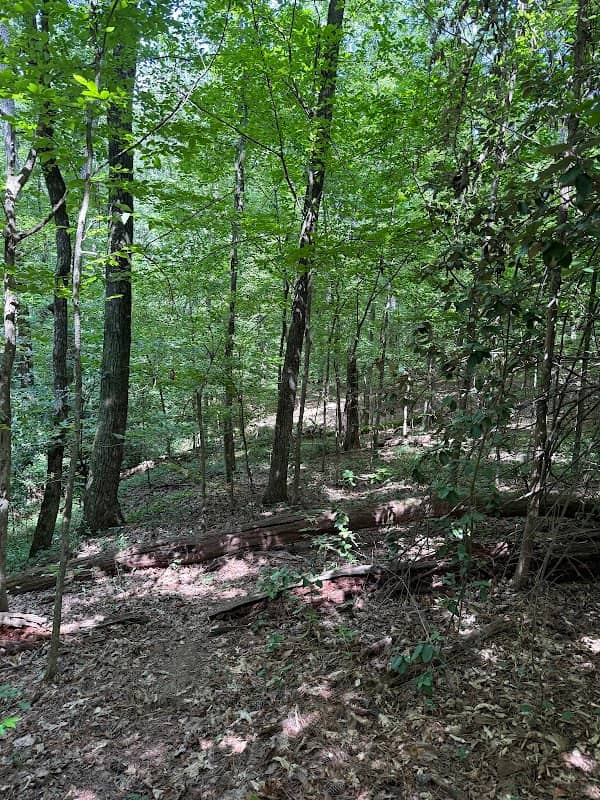 Wildflower Park - Image 2