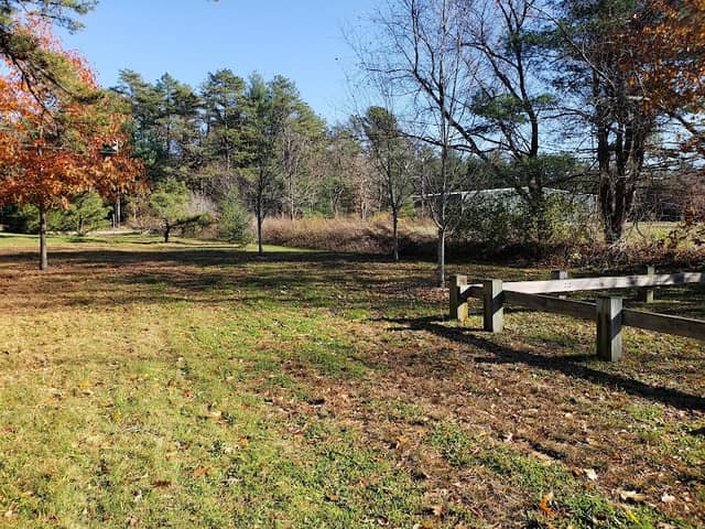 Pitch Pine Grove Picnic Area - Image 1