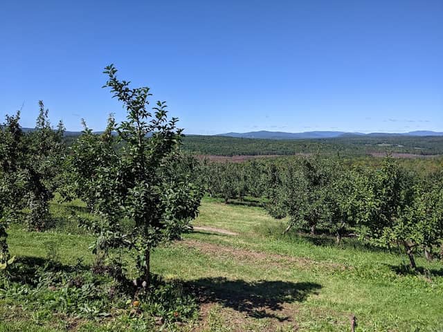 Ricker Hill Orchards - Image 2