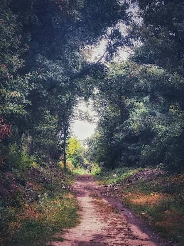 Queen City Ave Trail - Image 2