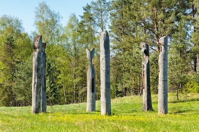 Ścieżka dydaktyczna "Owadogród" - Image 1