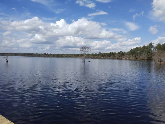 Singletary Lake Group Camp - Image 2