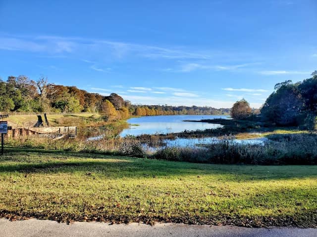 Anita L. Davis Preserve at Lake Henrietta Park - Image 1