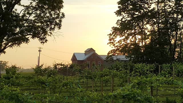 Olde Schoolhouse Vineyard & Winery - Image 1
