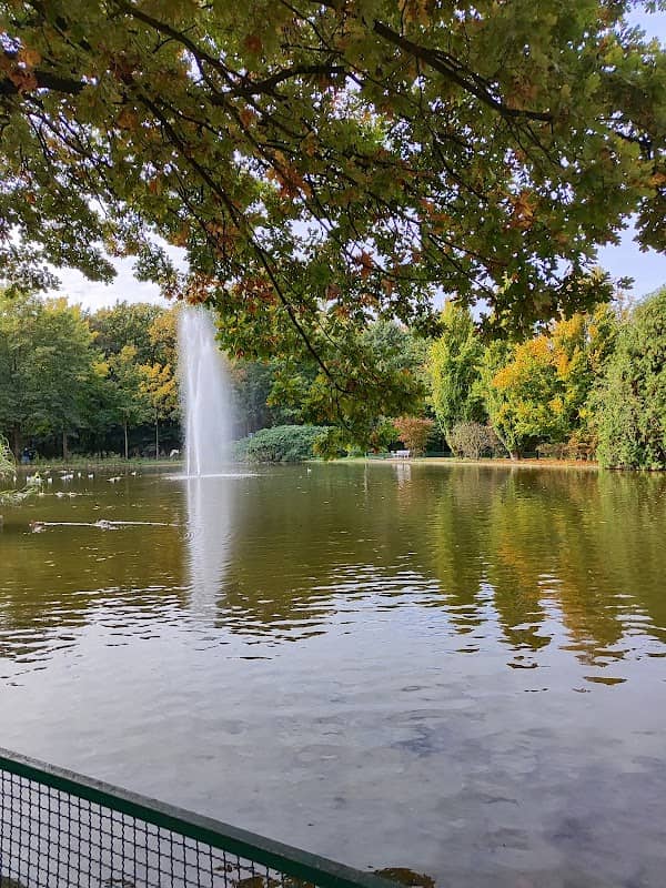 Ententeich im Eper Stadt Park - Image 1