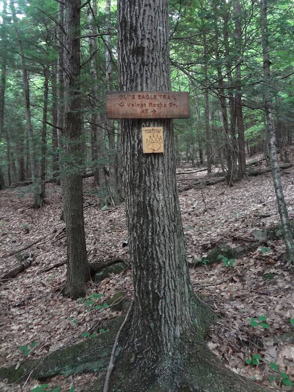 Greensboro Ridge Natural Preserve - Image 2