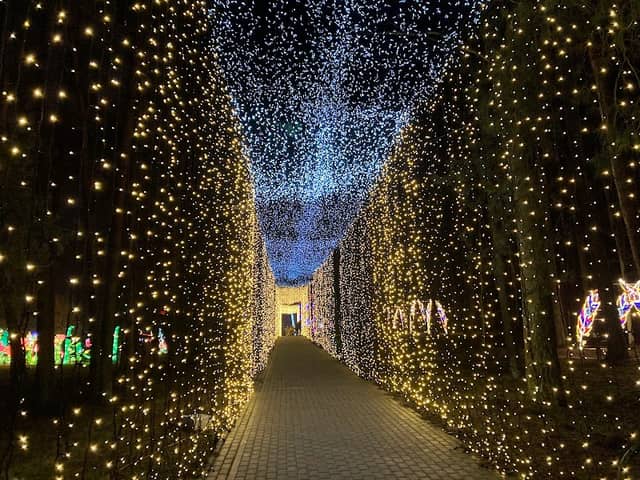 Garden of Lights - Smerfy Szczecin - Image 2