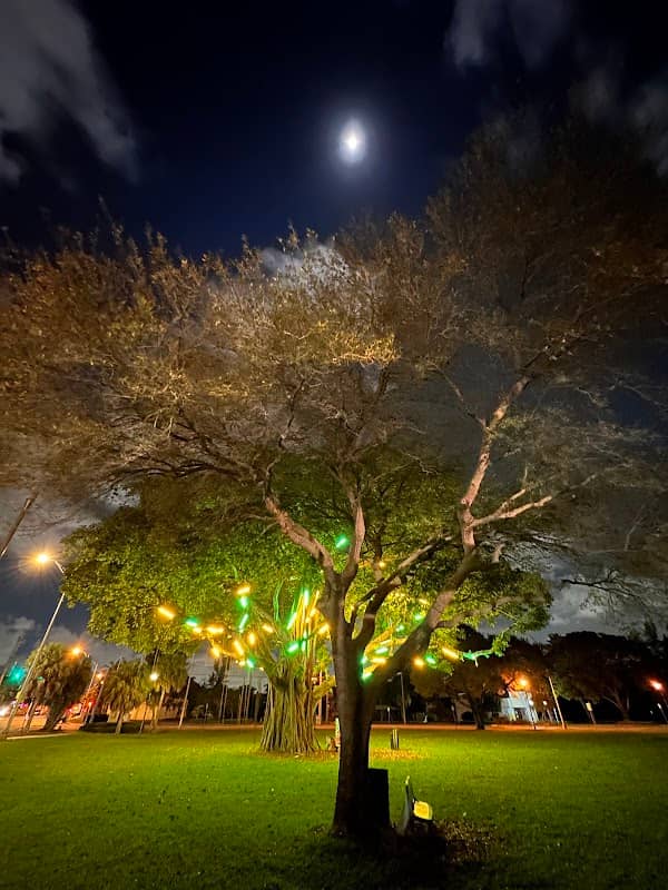 Griffing Park - Image 3