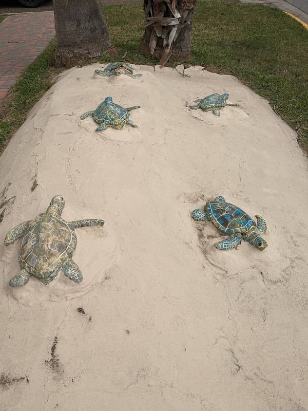 Turtle Park - Image 1