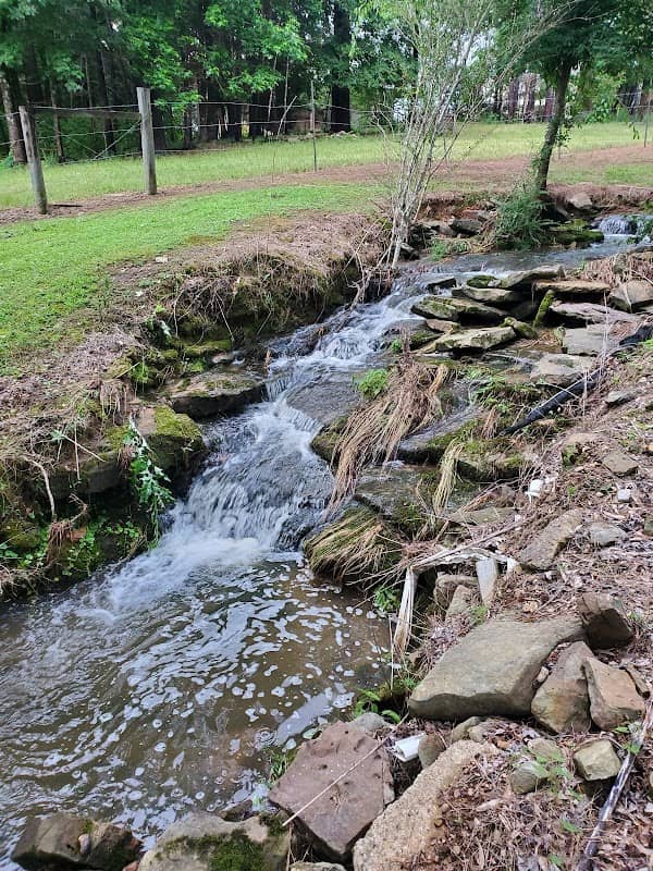 Woods Creek, Hamilton, AL - Image 1