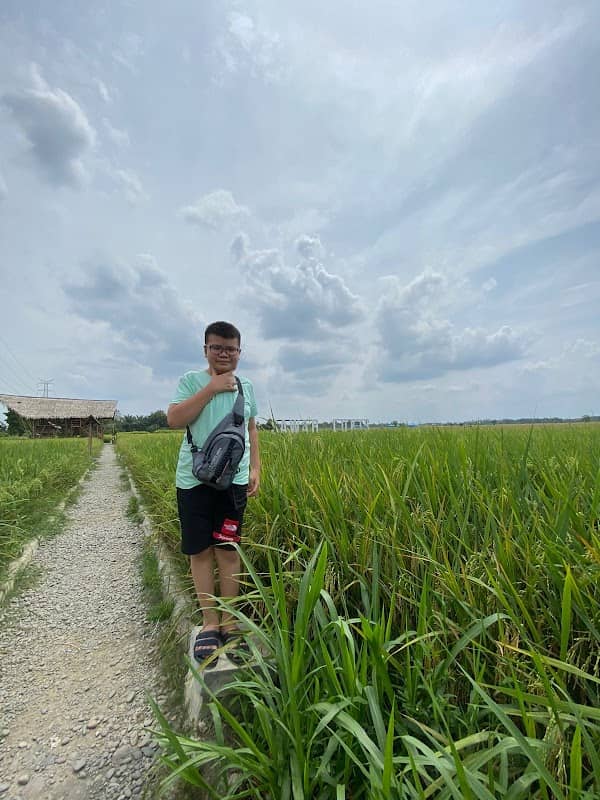 OBJEK FOTO SAWAH - Image 1