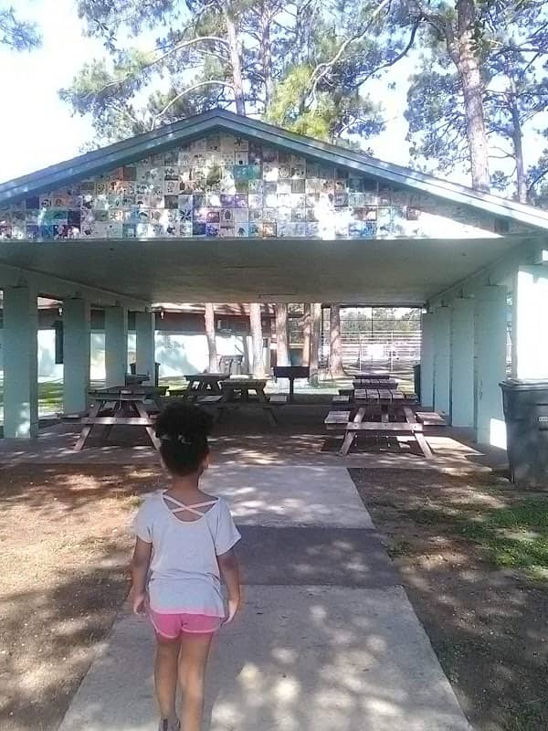 Jack Russell Park - Image 3