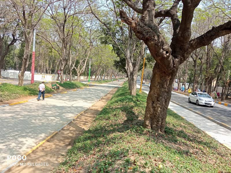 Kadma Sonari Walkers Avenue - Image 1
