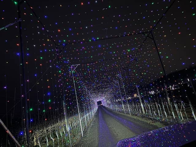 Merrimack Valley Celebration of Lights - Image 2