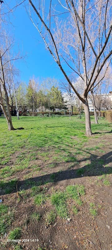 Fântâna parc Shuman - Image 2