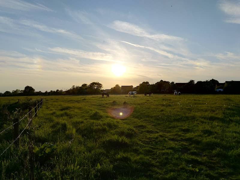 Tailby Meadow - Image 1