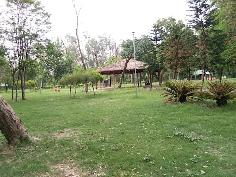 Van Chetna Park, Bassi Jana - Image 1