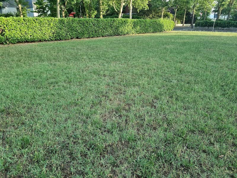 Giardino pubblico - Image 1